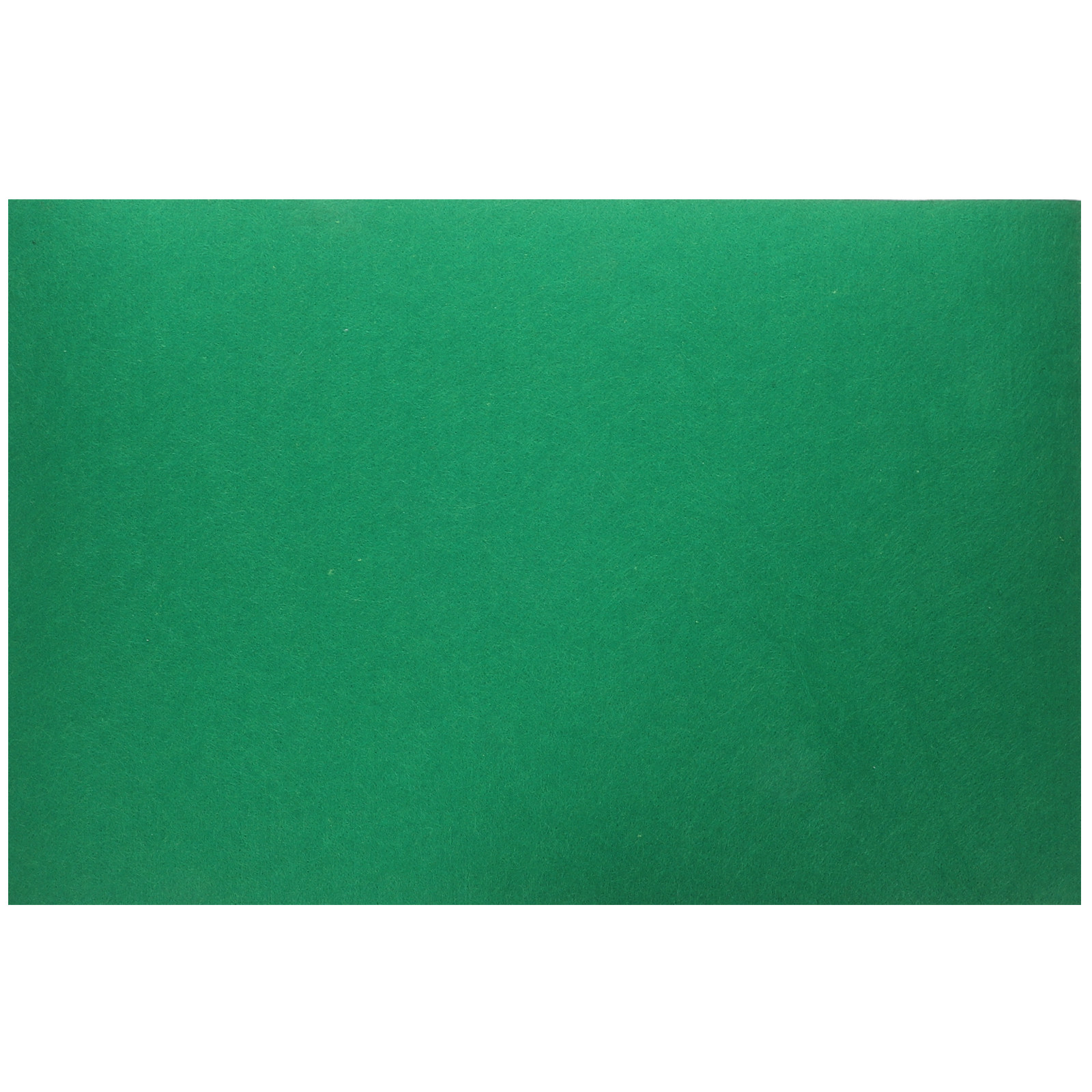 Cat Litter Mat - Tapis pour reptiles, tapis absorbant l'eau