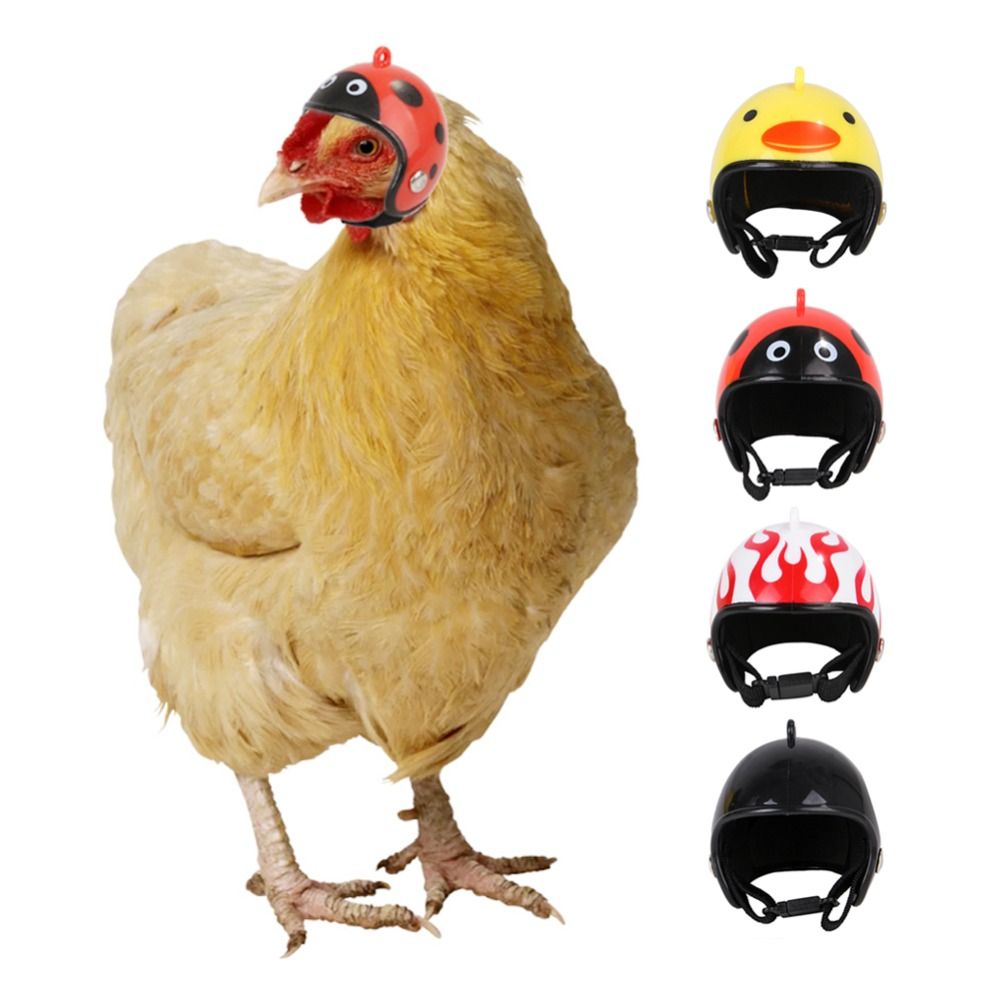 Pet X Supplies - Accessoires pour animaux de compagnie ABS