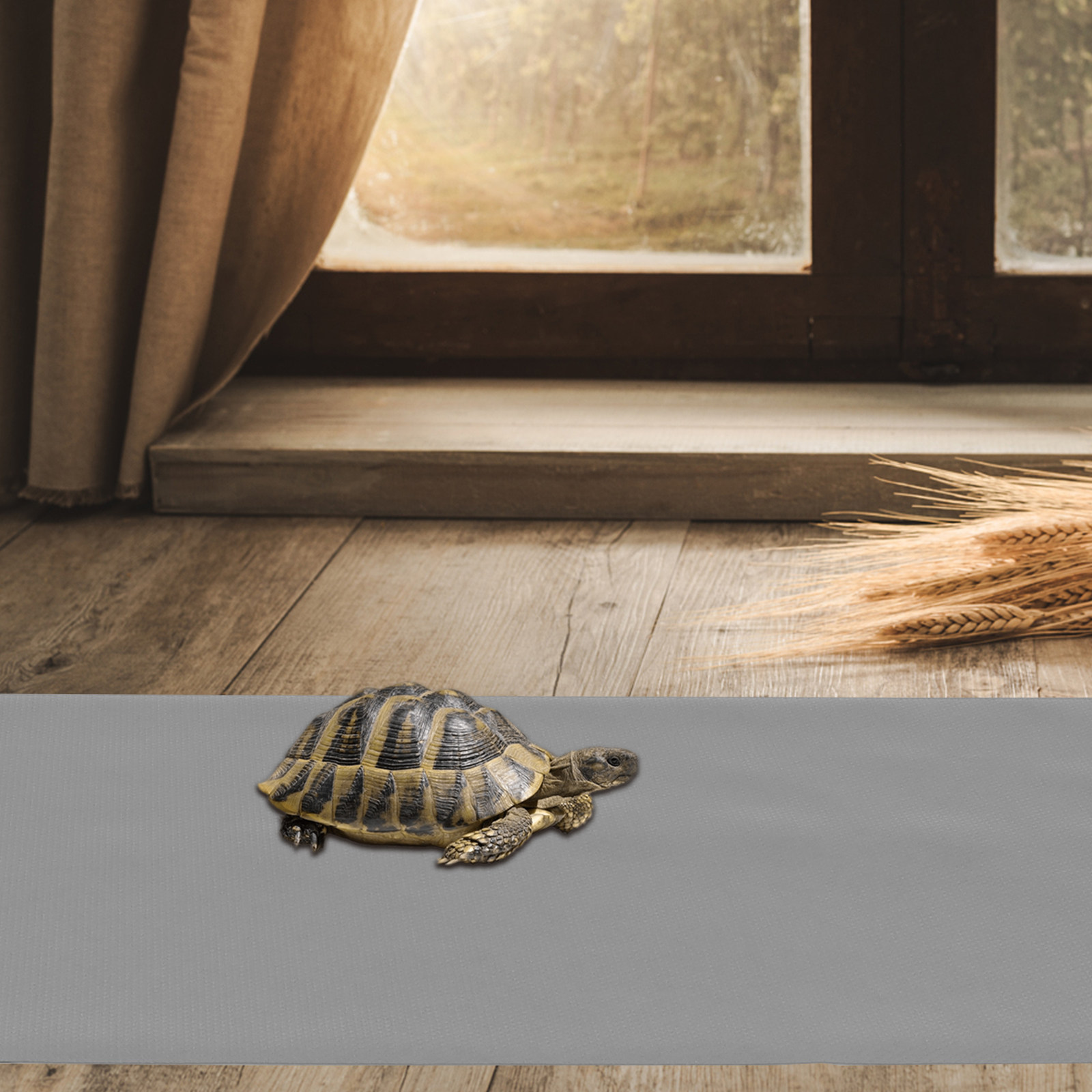 1 feuille de tapis de sol en E - Cat Litter Mat avis et prix