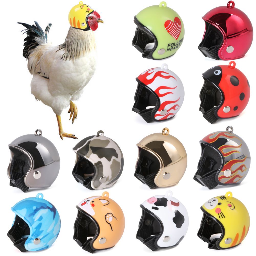 Accessoires pour animaux de co - Pet X Supplies avis et prix